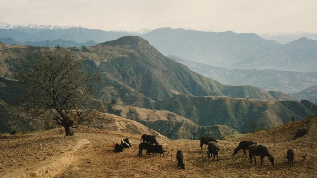 Helambu Trek The Closest Multi-Day Trek to Kathmandu